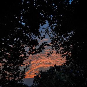 非洲裸体男人的JJ
